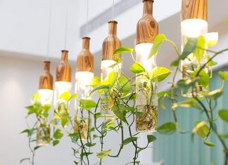 Лампы для подсветки растений в домашних условиях Как сделать дополнительное освещение для комнатных цветов
